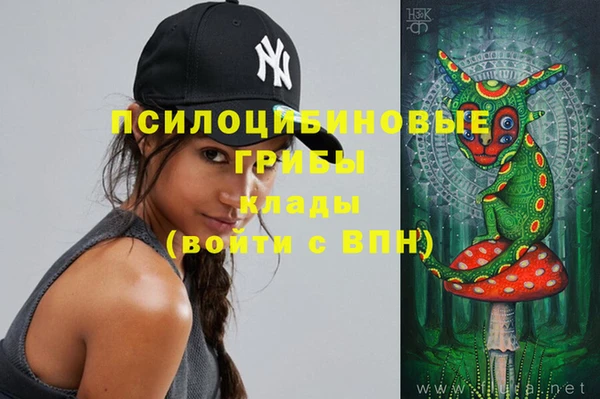 ешки Алзамай