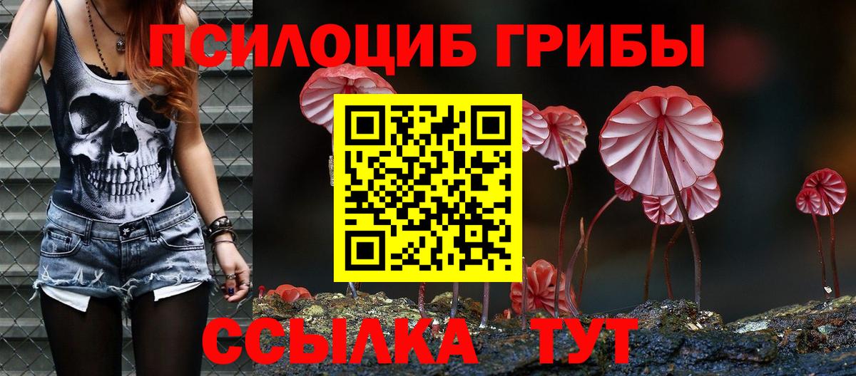 Псилоцибиновые грибы прущие грибы  Вход с VPN  Елабуга 