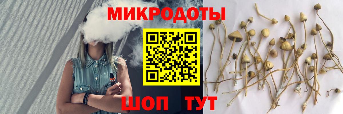 Галлюциногенные грибы GOLDEN TEACHER Елабуга